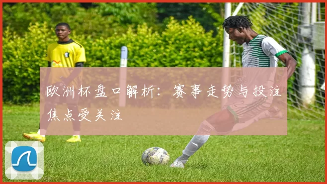 欧洲杯盘口解析：赛事走势与投注焦点受关注