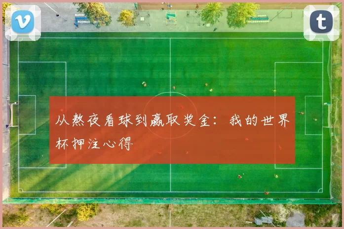 从熬夜看球到赢取奖金：我的世界杯押注心得