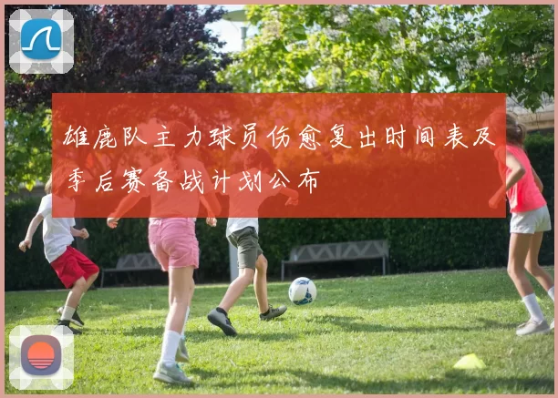 雄鹿队主力球员伤愈复出时间表及季后赛备战计划公布