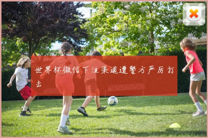 世界杯微信下注渠道遭警方严厉打击