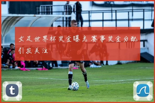 女足世界杯奖金曝光 赛事奖金分配引发关注