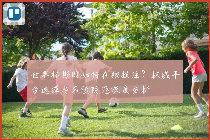 世界杯期间如何在线投注？权威平台选择与风险防范深度分析
