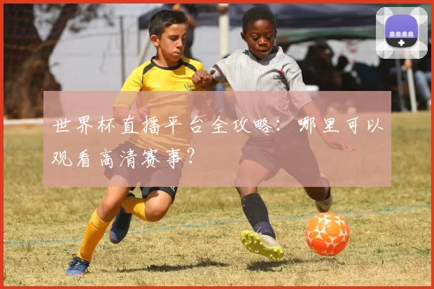 世界杯直播平台全攻略：哪里可以观看高清赛事？