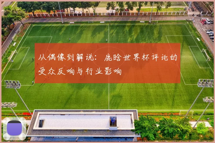 从偶像到解说：鹿晗世界杯评论的受众反响与行业影响