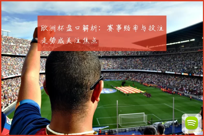 欧洲杯盘口解析：赛事赔率与投注走势成关注焦点