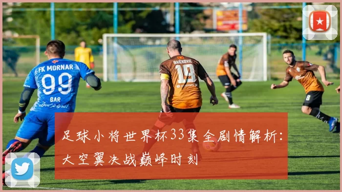 足球小将世界杯33集全剧情解析:大空翼决战巅峰时刻