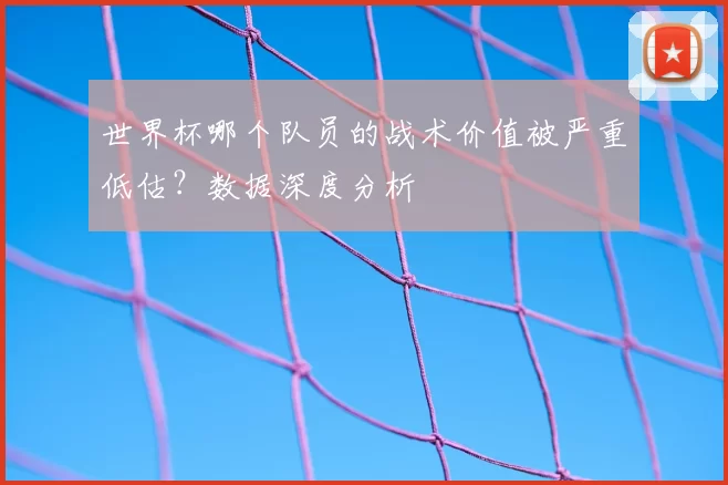 世界杯哪个队员的战术价值被严重低估？数据深度分析