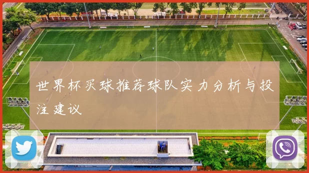 世界杯买球推荐球队实力分析与投注建议